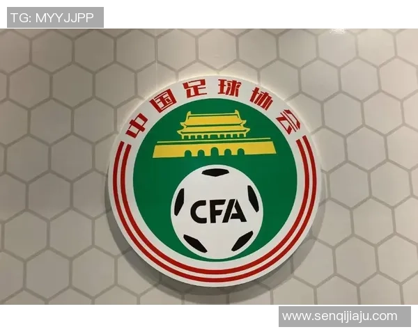 西藏足球队新阵容正式公布 球星名单引发球迷热议