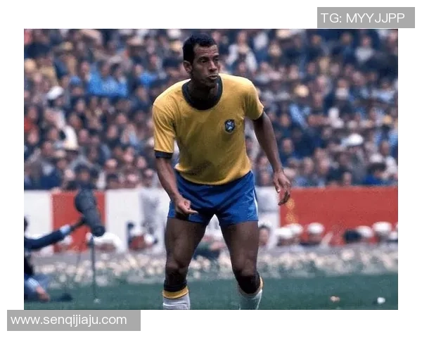 足球历史十大传奇球星排名解析 谁才是最伟大的足球巨星